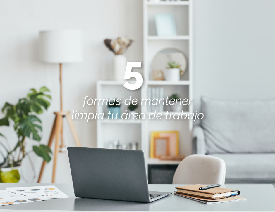 7. Mantén tu Espacio Limpió y Ordenado