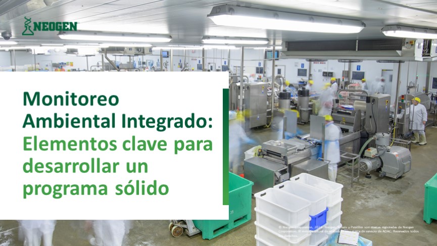 Elementos Clave para Desarrollar un Marco Teórico