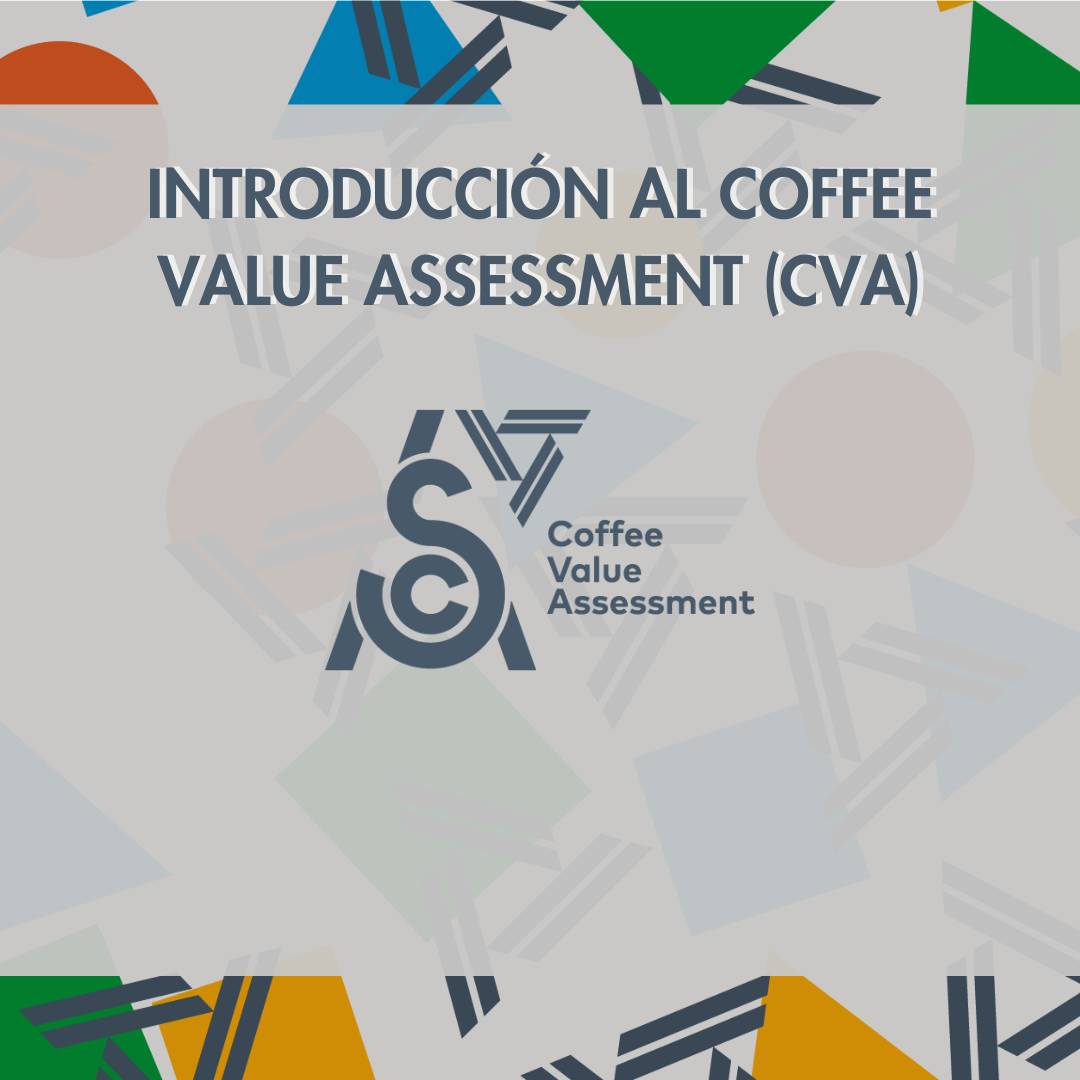 Introducción