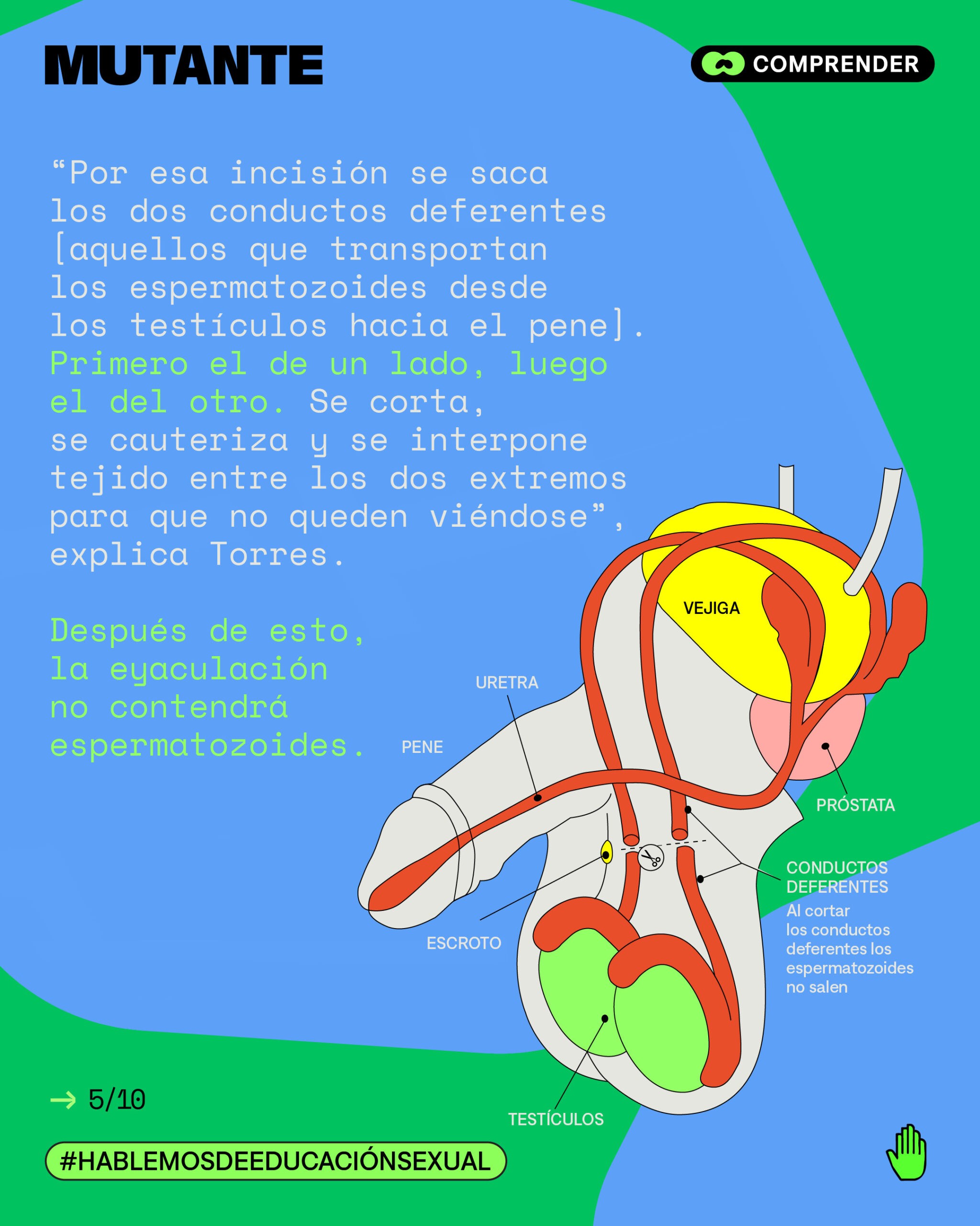 Preguntas Frecuentes sobre Estudios Universitarios y Carreras del Futuro