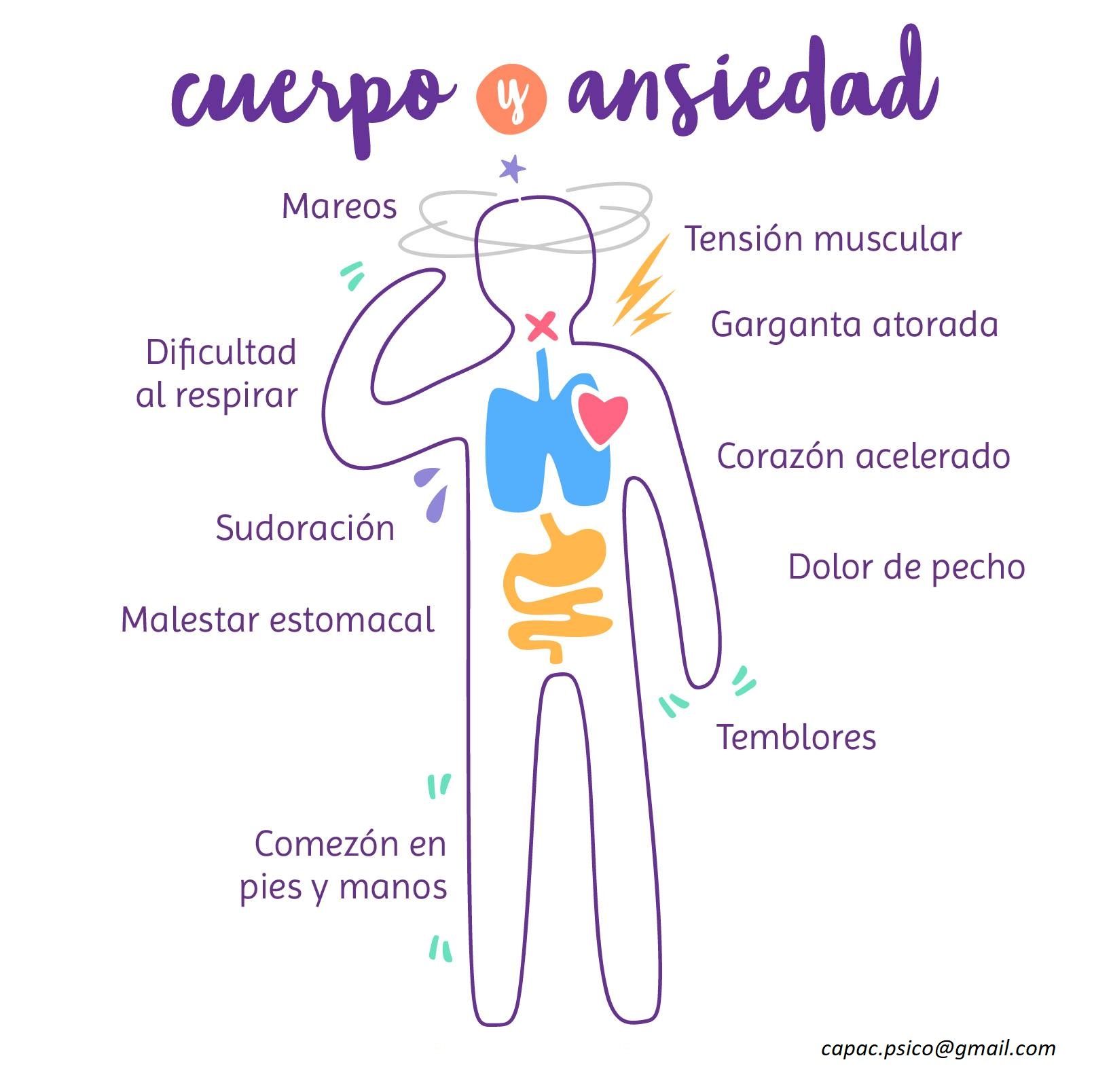 <strong>Maneja La Ansiedad