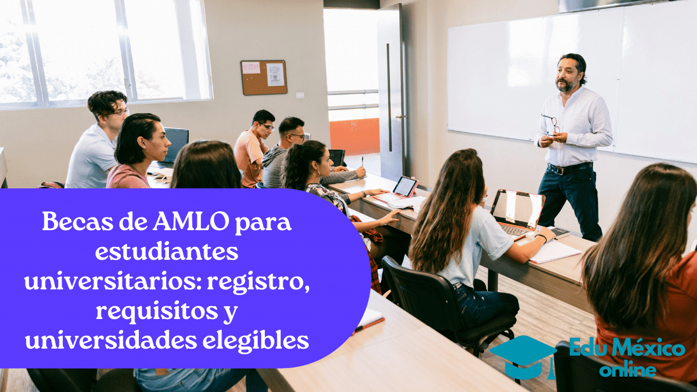 Opciones de Becas por Área de Estudio