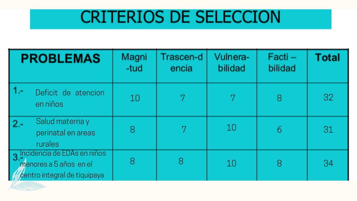 3. Criterios de Selección del Programa