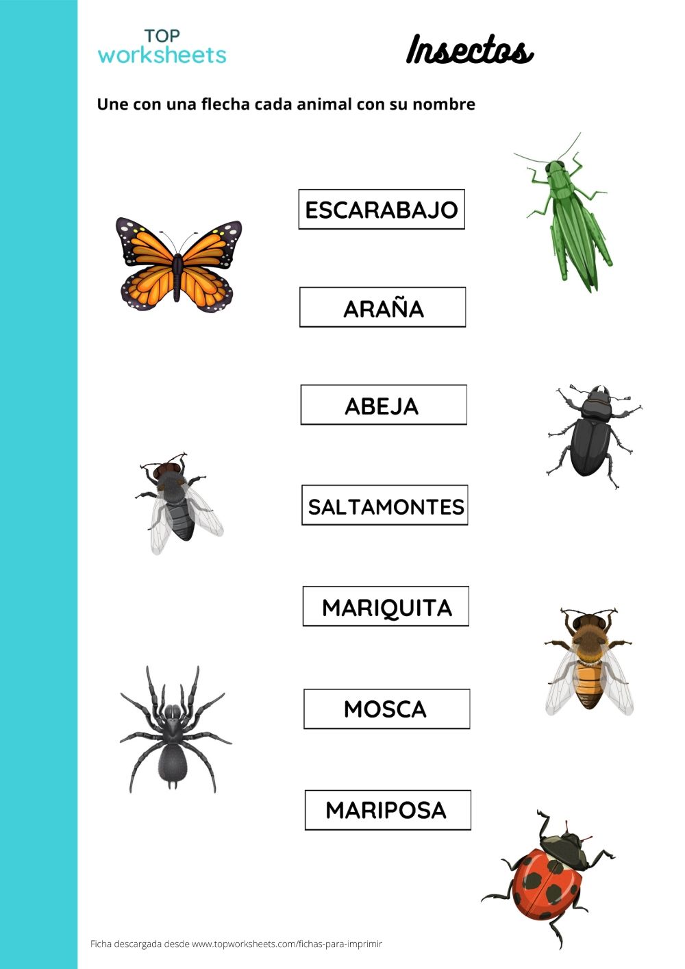 Ejemplo de diseño experimental: Comparación de la diversidad de insectos en dos tipos de hábitat