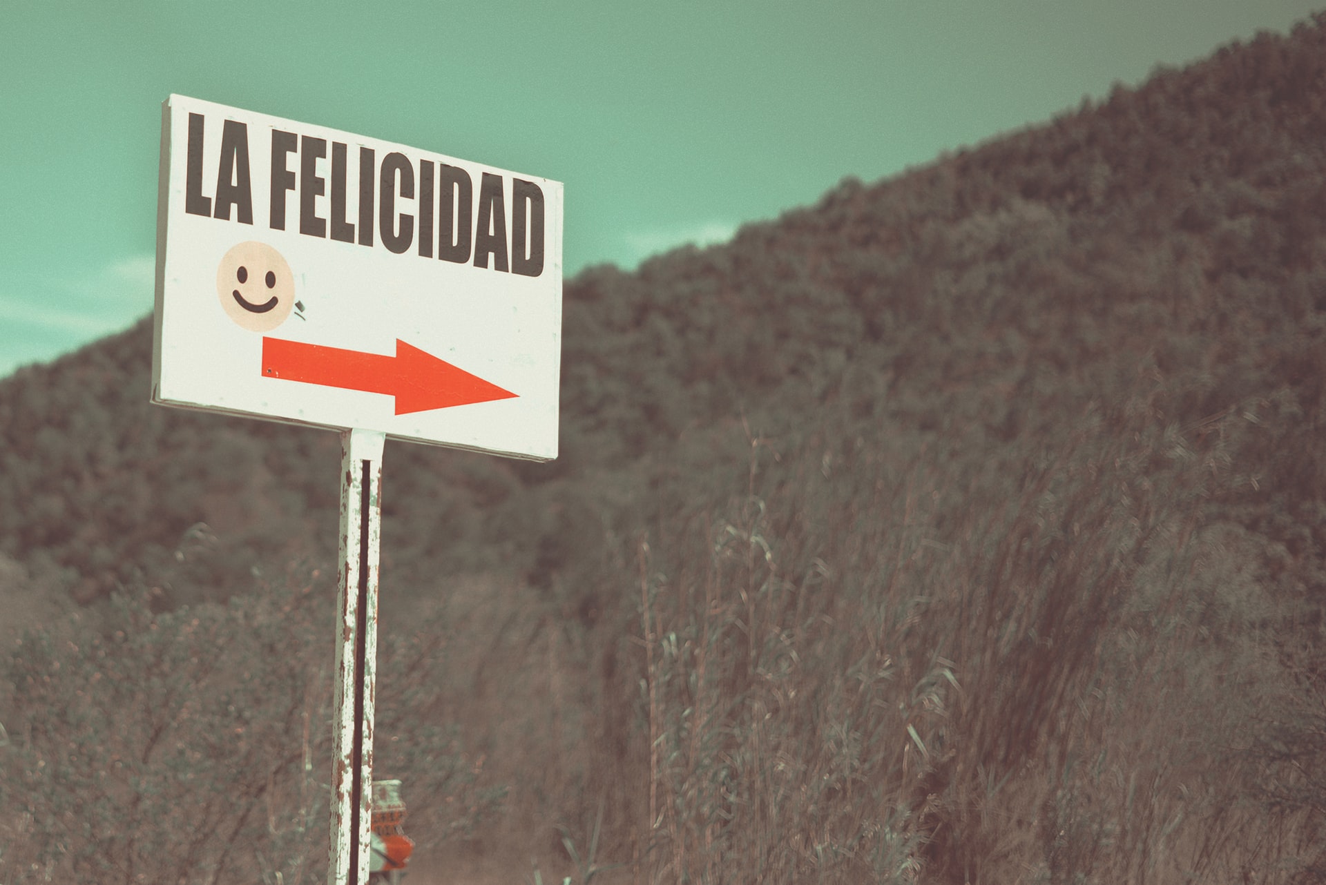 Entendiendo tu Estilo de Vida Ideal