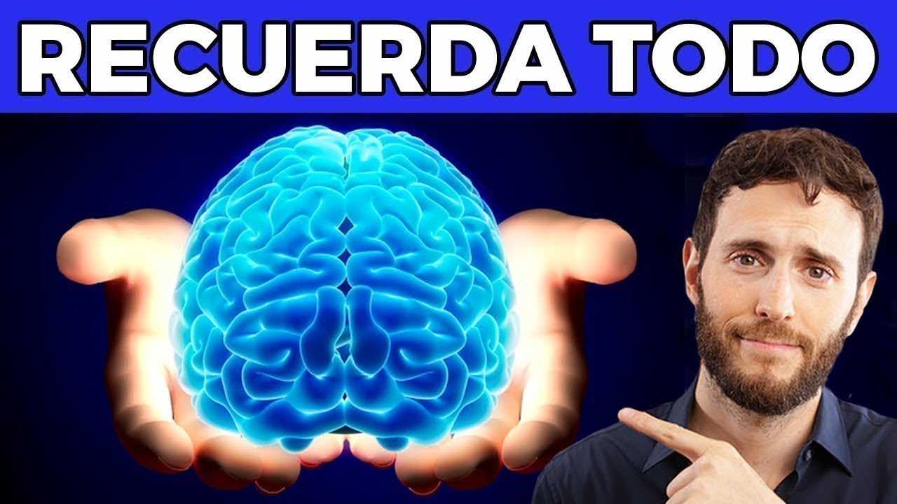 <strong>Cómo organizar el estudio de forma eficaz