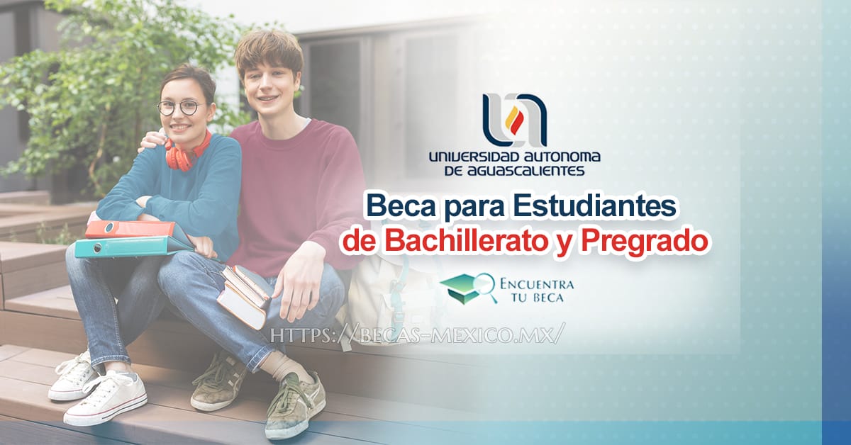 Cómo Encontrar Becas Relevantes