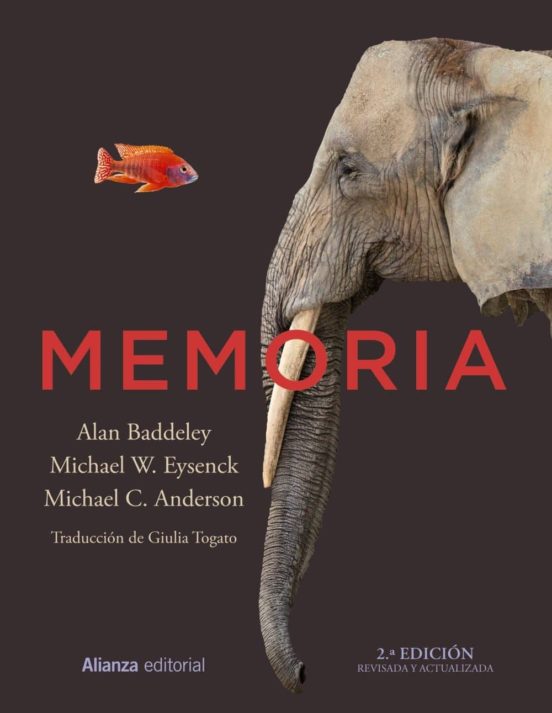 H2: Estudios sobre la Memoria