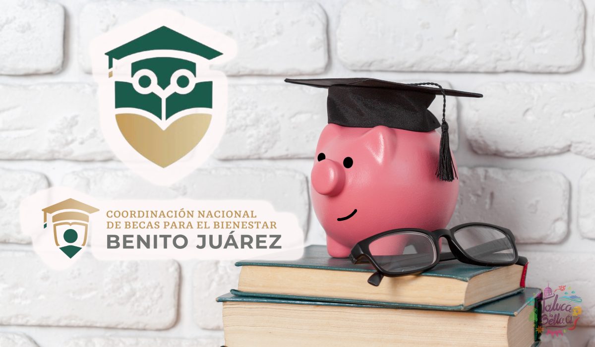 ¿Por qué buscar becas para actualización profesional y diplomados?