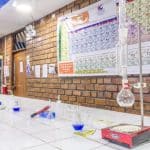 Cómo combinar estudios de química y biología para investigación universitaria