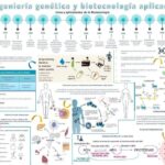 Carreras en biotecnología y genética: tendencias y perspectivas laborales