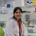 Cómo colaborar con investigadores internacionales desde tu universidad